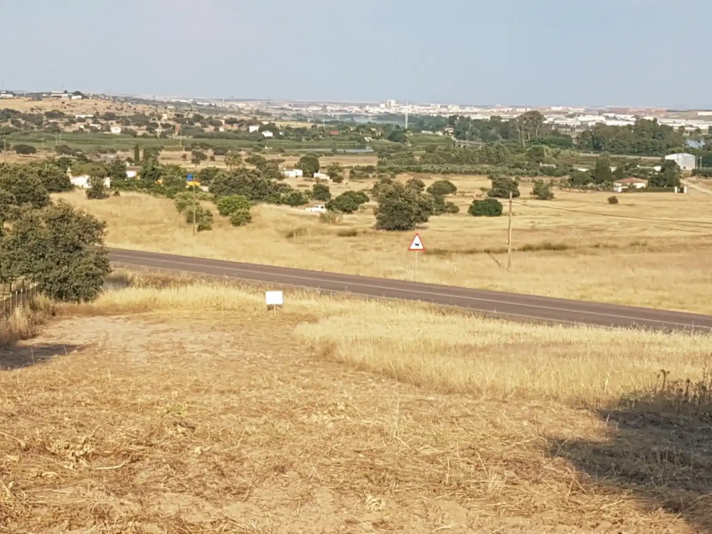 Terreni e lotti in vendita a Esparragalejo, imagen 4