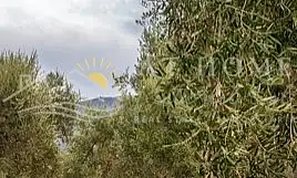 Grundstücke und Bauplätze zum Verkauf in Begíjar, imagen 3