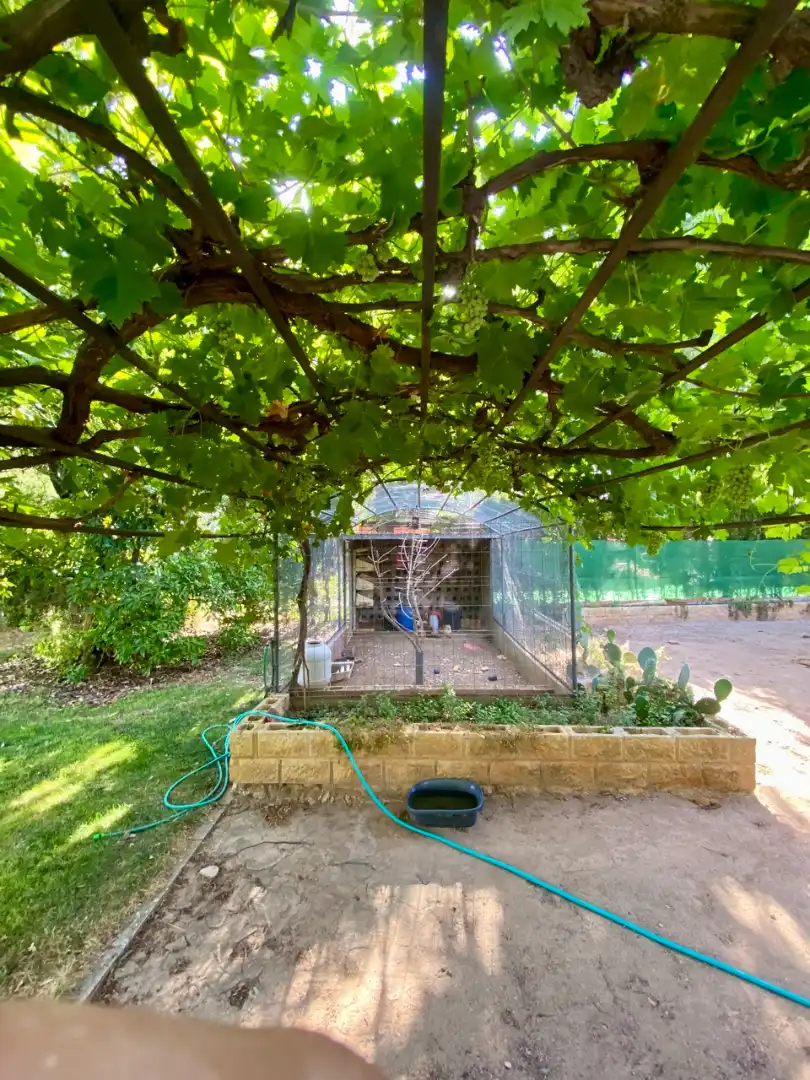 Jardín de Casa o chalet en venta en Ciudad Real con Aire acondicionado, Calefacción y Jardín privado