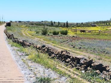 Terrenos y solares en venta en Vilaflor de Chasna