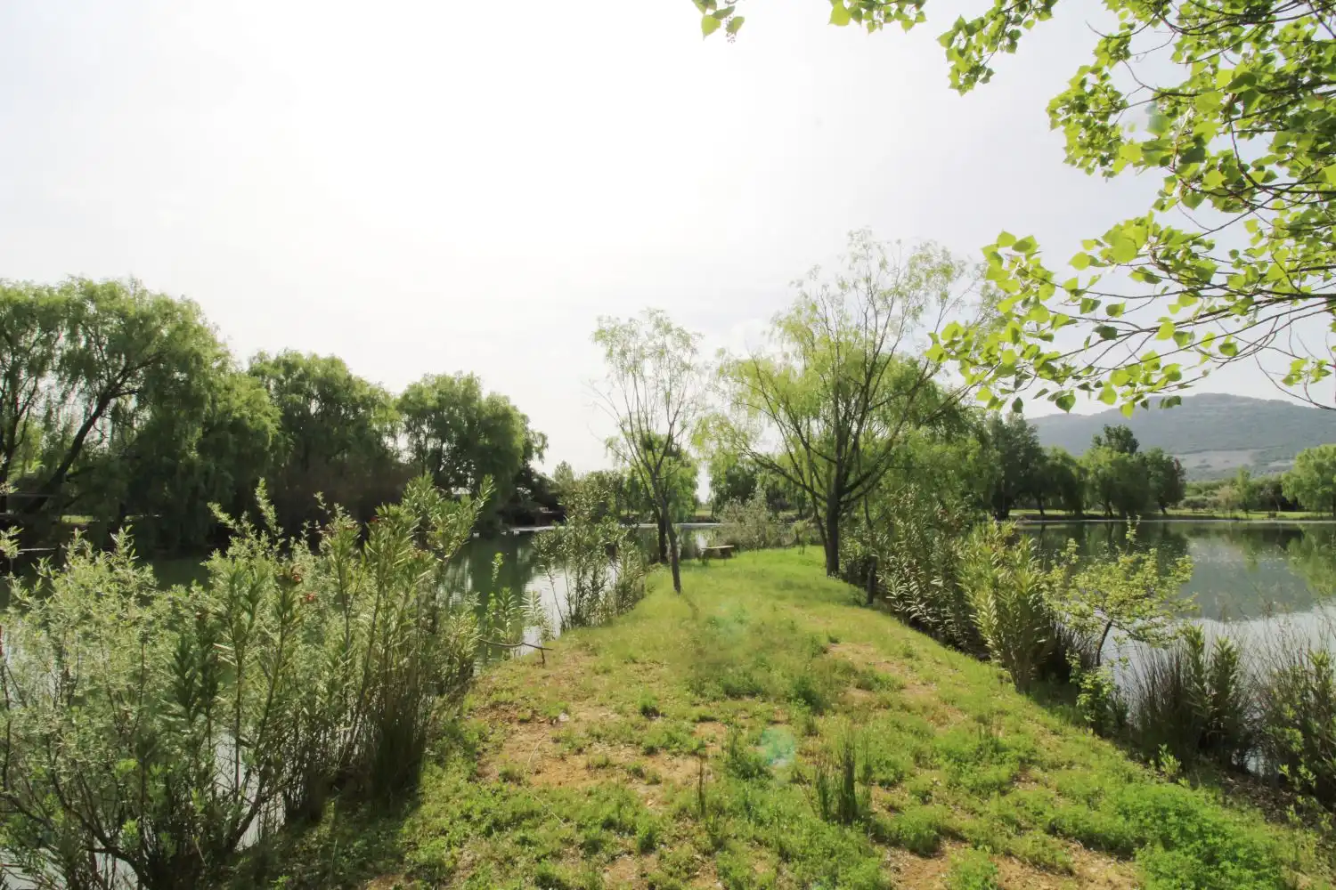 Chalet en venta en Malagón, imagen 21