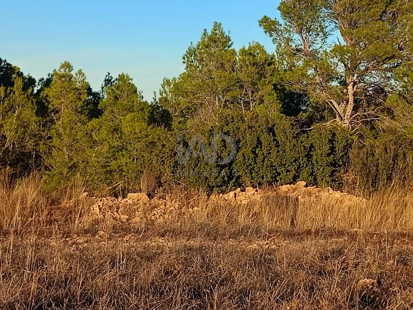 Terreno en venta en Lorca