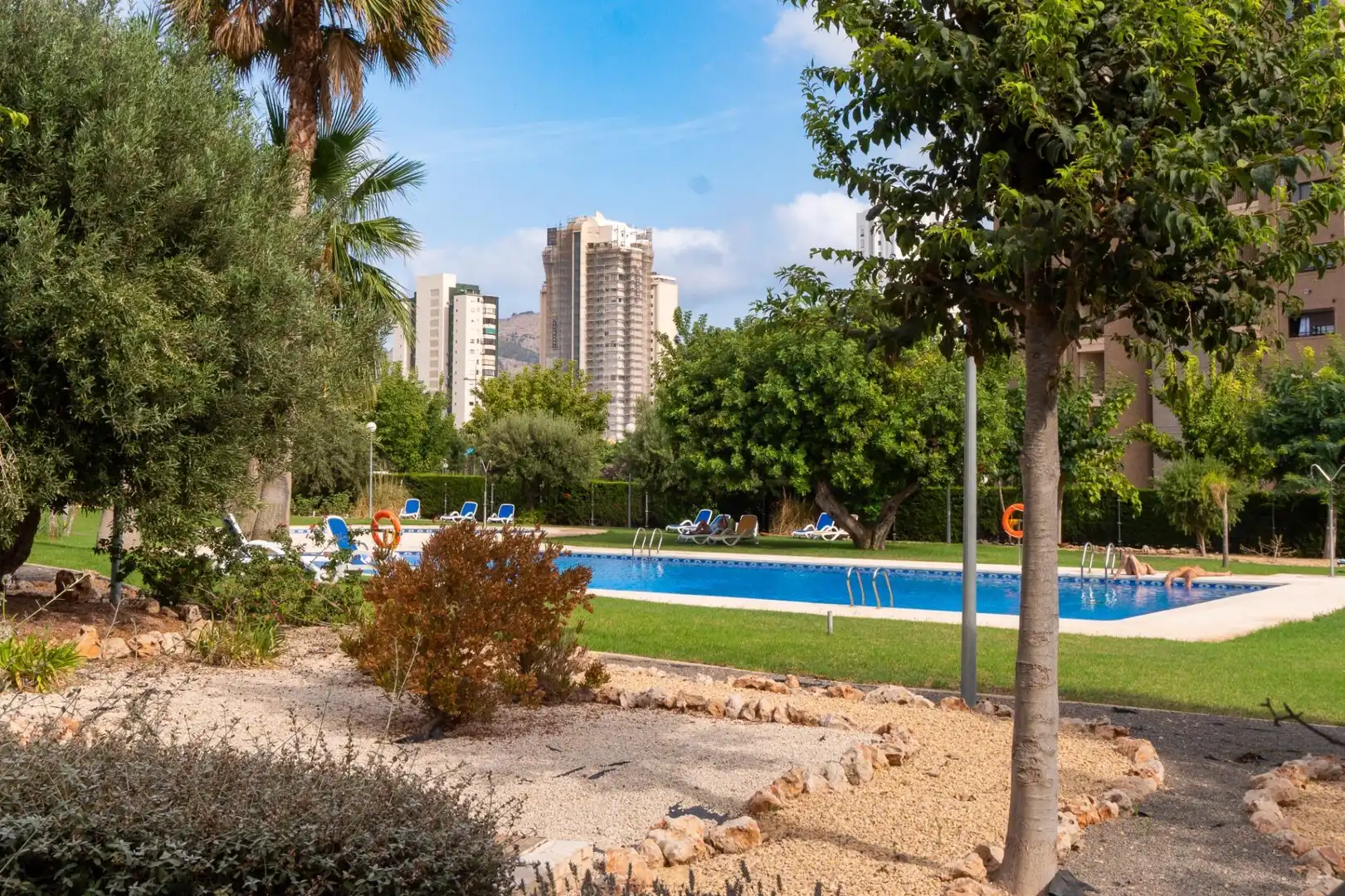 Swimming pool of Apartments for rent in Benidorm  with Air Conditioner, Private garden and Terrace
