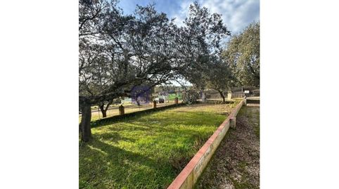 Foto 3 de Finca rústica en venta en Torreorgaz, Cáceres