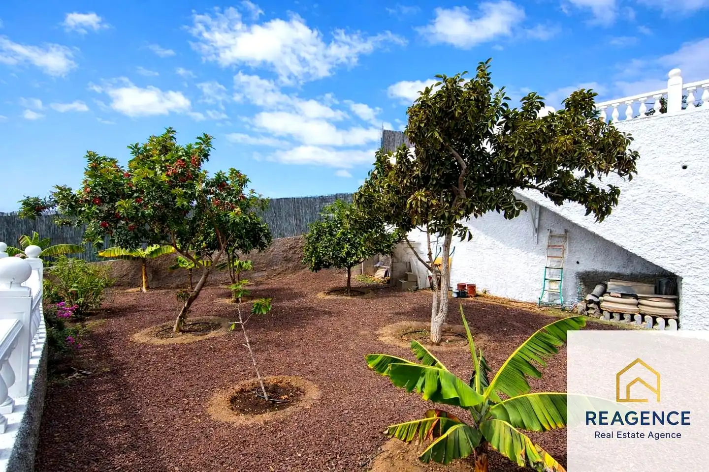 Jardín de Casa o chalet en venta en El Salobre