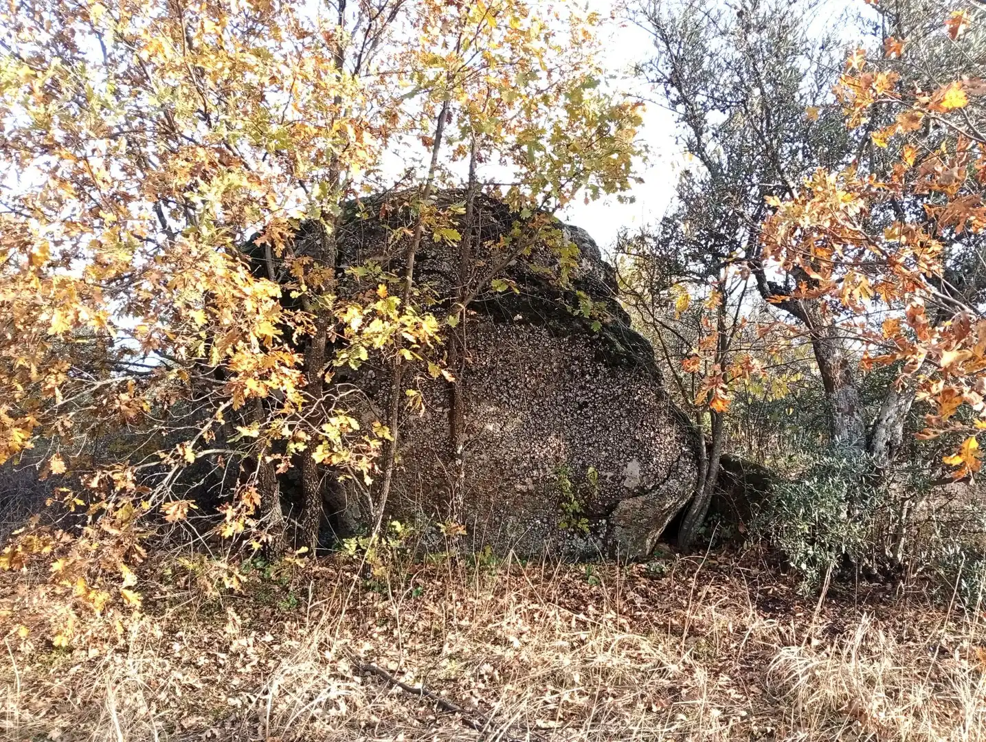 Terreni e lotti in vendita a Viandar de la Vera, imagen 43