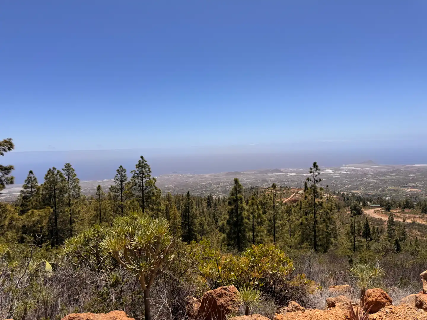 Vista exterior de Finca rústica en venta en Granadilla de Abona con Calefacción, Jardín privado y Parquet