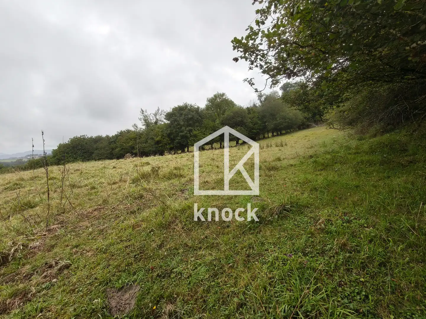 Terreno rustico in vendita a Villaviciosa - Celada, imagen 6
