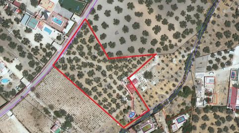 Finca de olivar en camino del Lucero con una superficie de 4.975 m2. Dispone de cortijo de 50 m2. Luz y agua