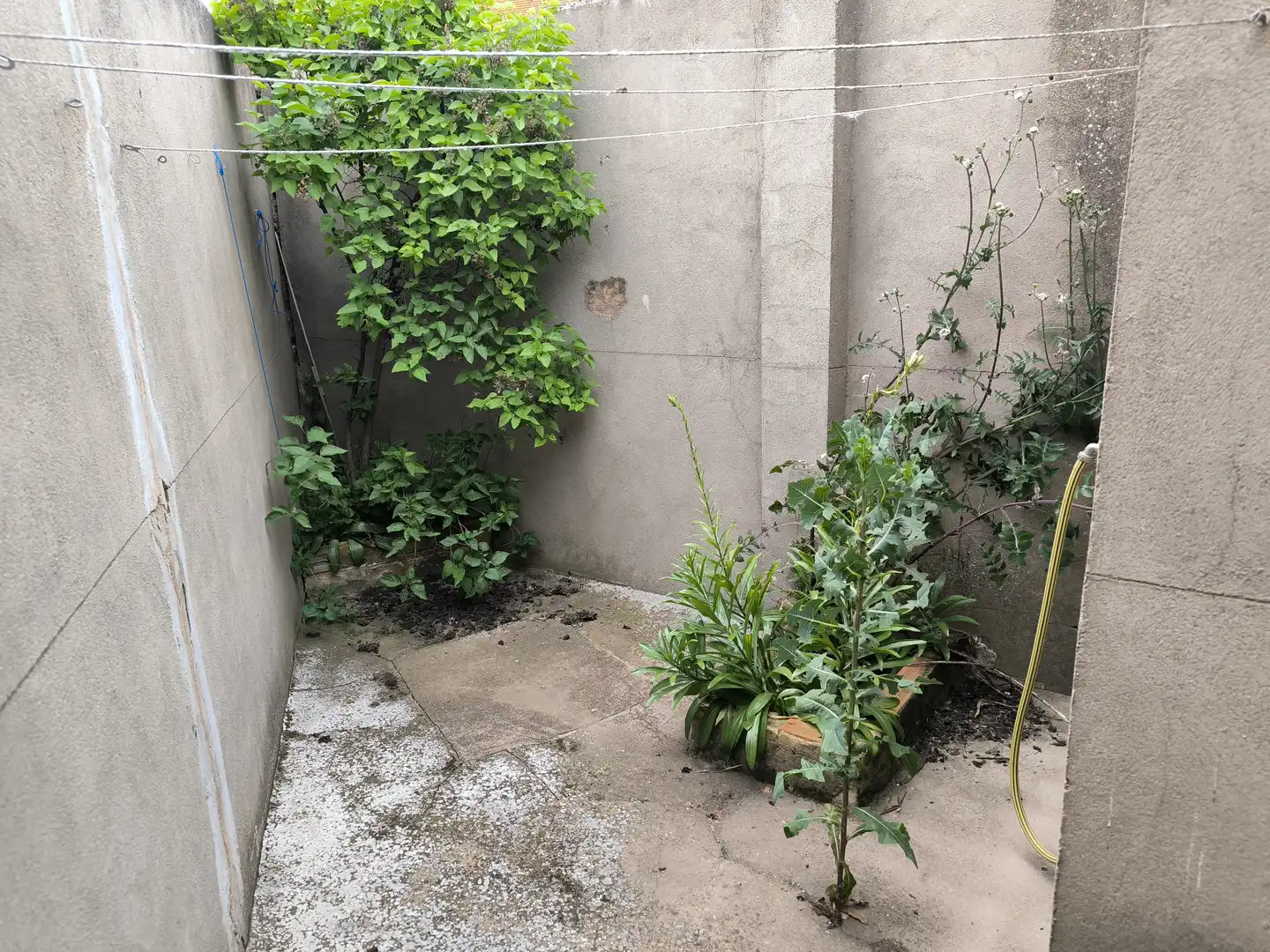 Garden of Houses for sale in Piedrabuena  with Heating, Furnished and Oven