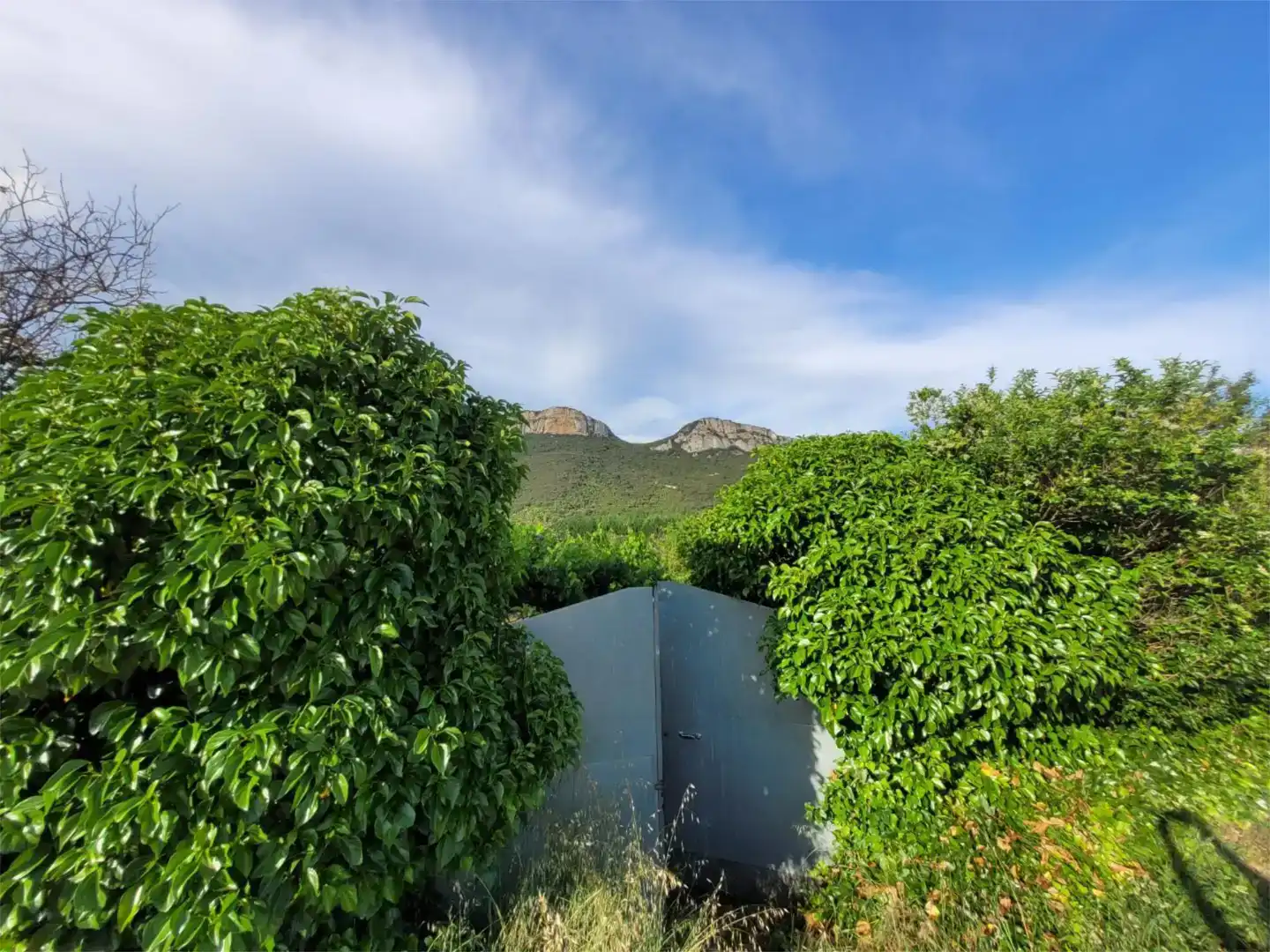 Jardí de Finca rústica en venda en Allín / Allin