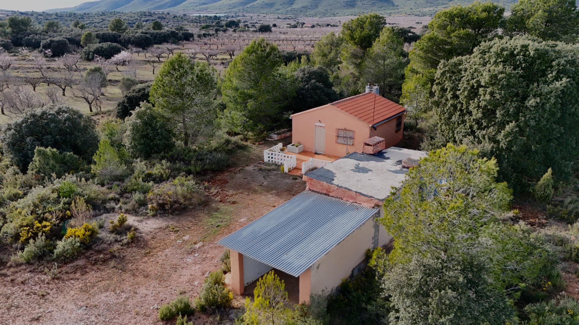 Exterior view of House or chalet for sale in Alcublas  with Private garden, Storage room and Furnished