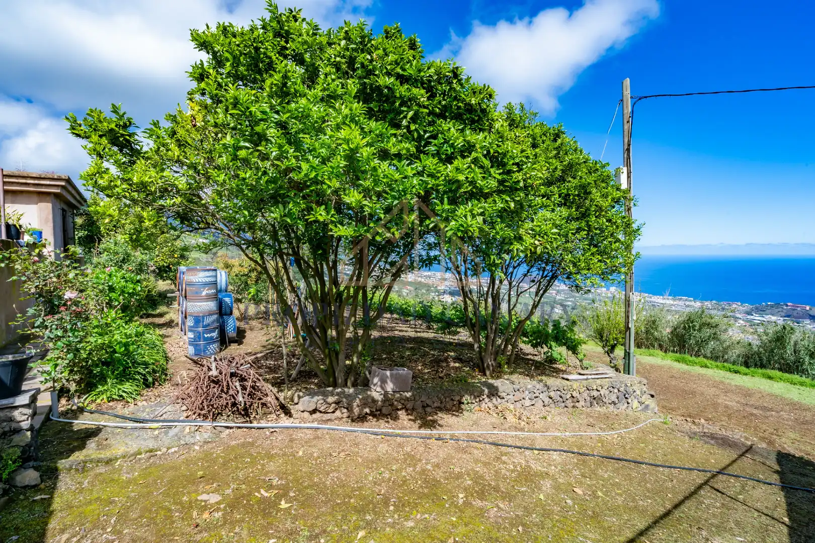 Casa rústica con jardín en venta en La Perdoma - San Antonio - Benijos, imagen 58