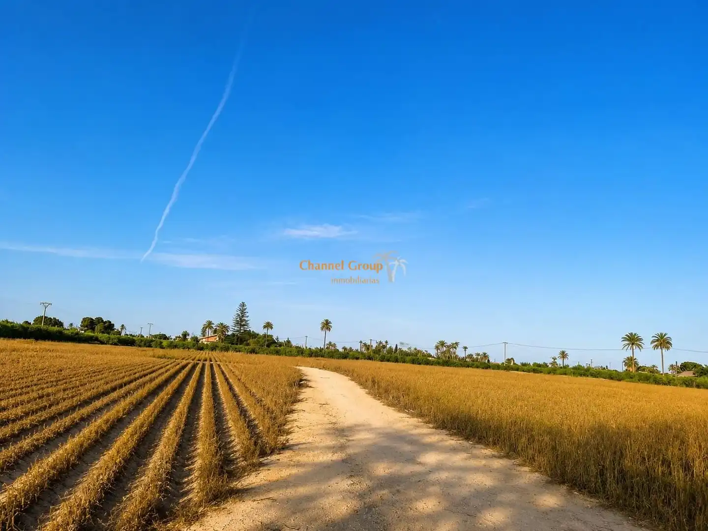 Land for sale in Elche / Elx