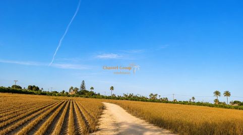 Foto 4 de Terreno en venta en La Portalada, Elche / Elx