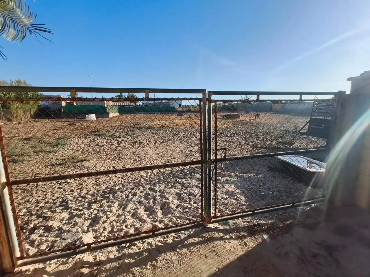 Rural land for sale in Camino de Santo Dios, imagen 4