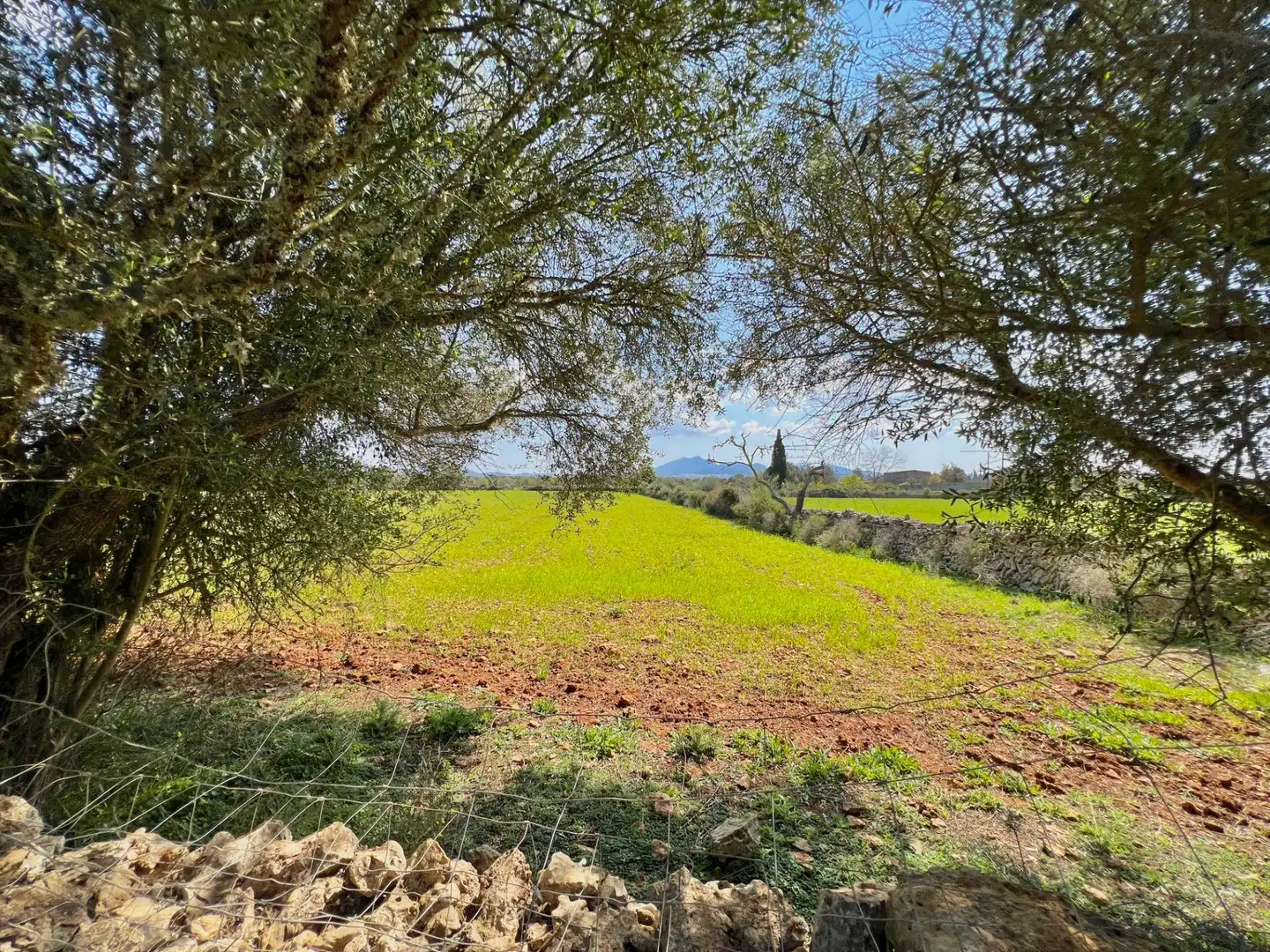 Terreny residencial en venda a Porreres
