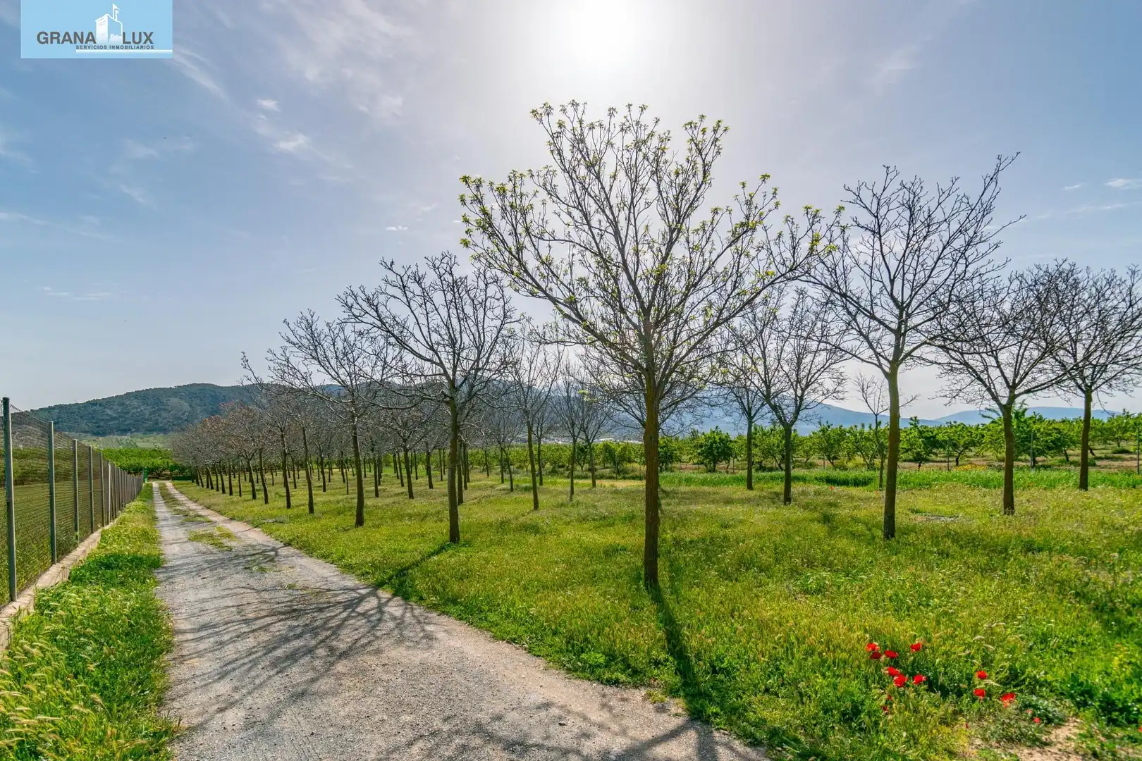 Rural land for sale in 18640, imagen 17