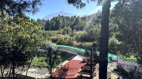 Foto 4 de Finca rústica en venda a La Vega - El Amparo - Cueva del Viento, Santa Cruz de Tenerife