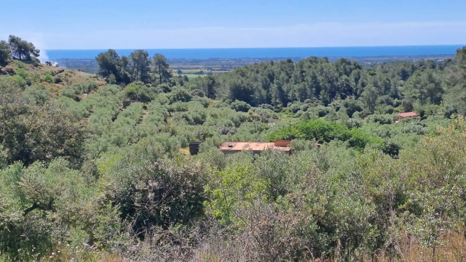 Finca rústica en venda en Riudecanyes