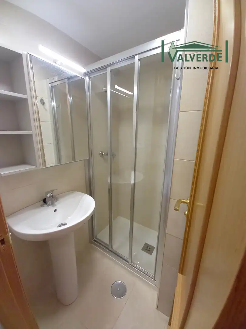 Bany de Apartament de lloguer en Granada amb Aire condicionat, Calefacció i Moblat