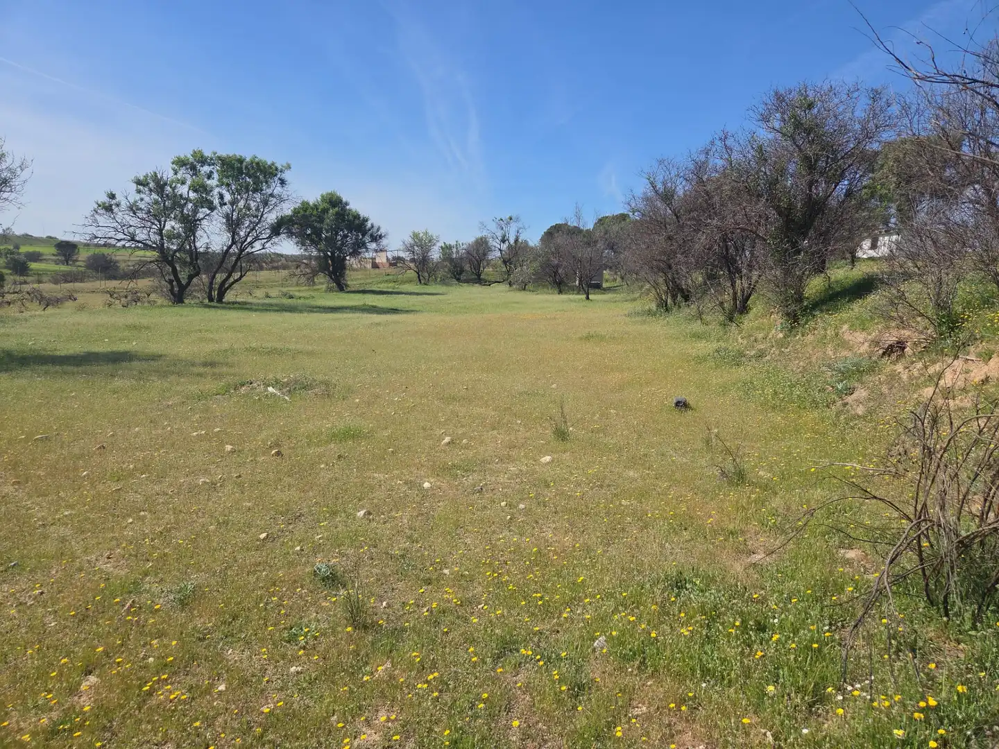 Finca rústica en venta en Navalcarnero