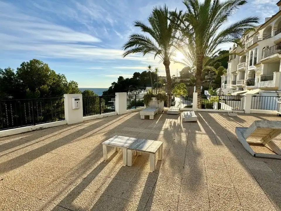 Apartments for sale in Mascarat