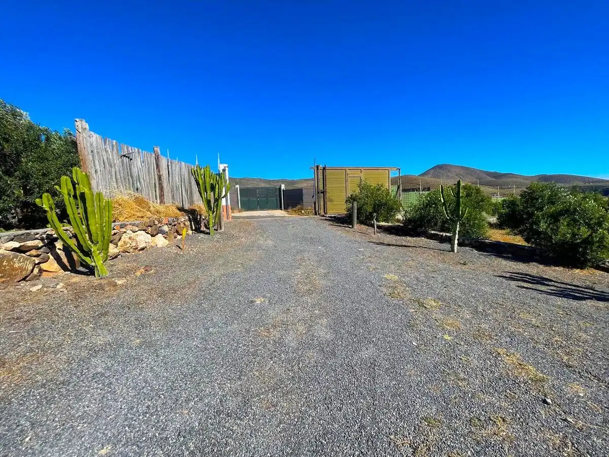 Exterior view of Land for sale in Ingenio
