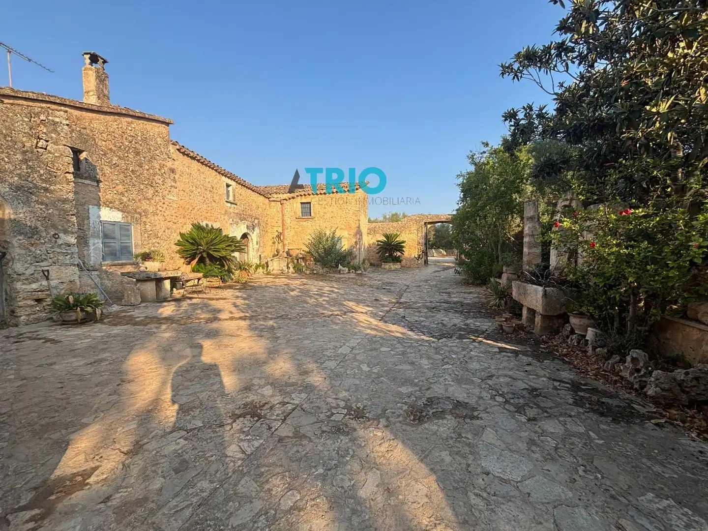 Vista exterior de Casa o xalet en venda en Sencelles amb Calefacció i Piscina