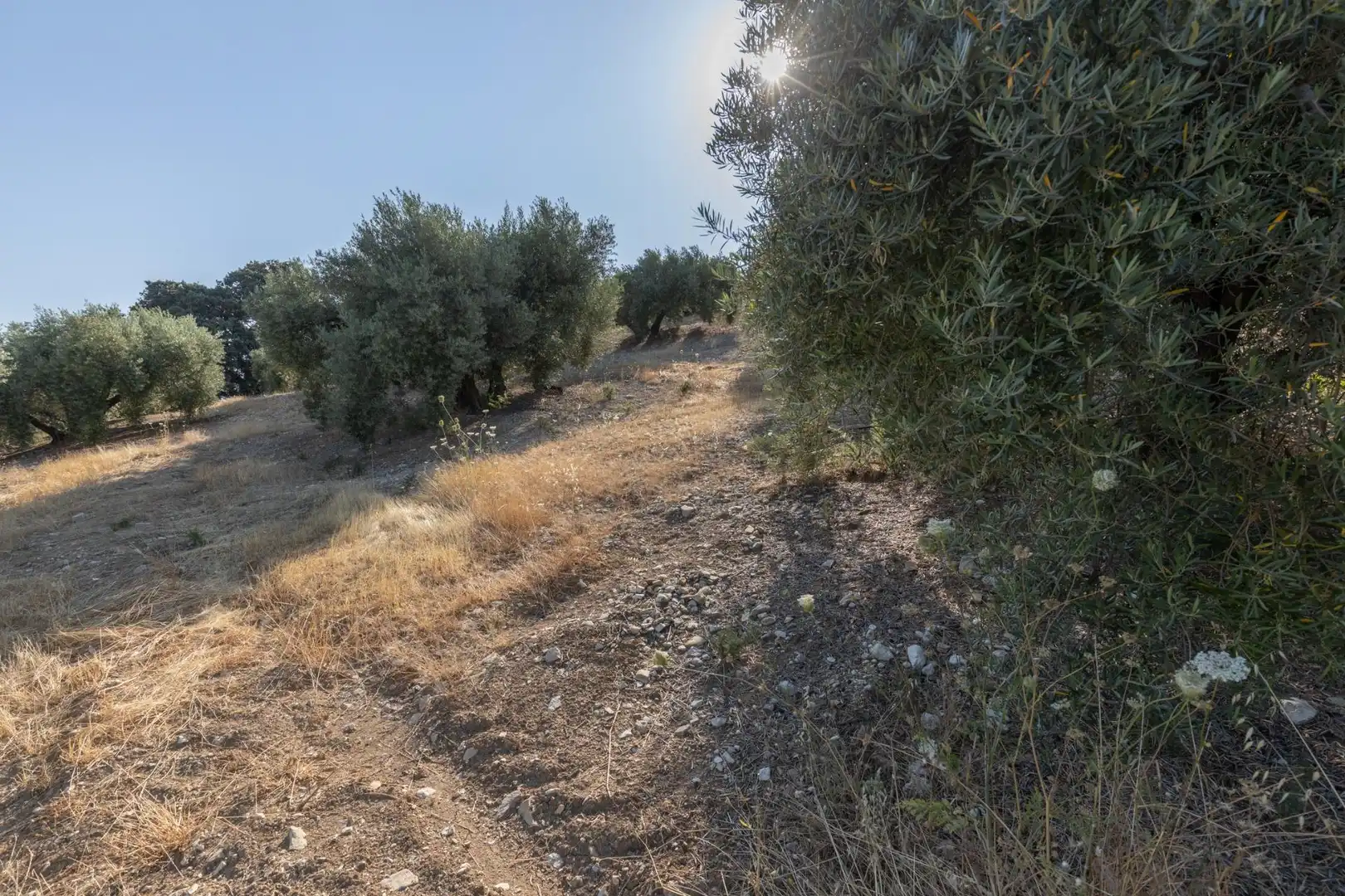 Terreni e lotti in vendita a Lugar Lugar del Cortijo Aguadero, imagen 37