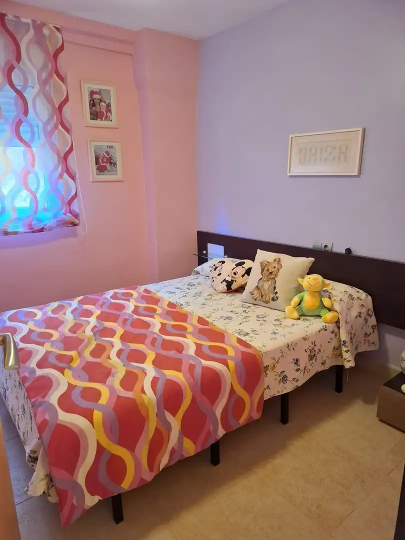 Flat with pool for sale in Calle del Alcalde Manuel Catalán Chana, imagen 16