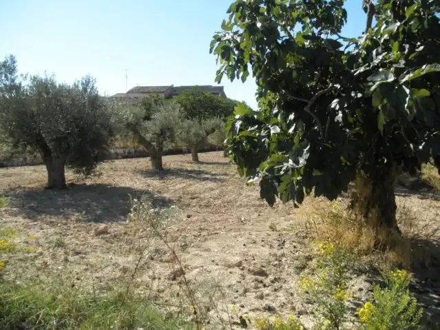 Villa à vendre à La Romana, imagen 10