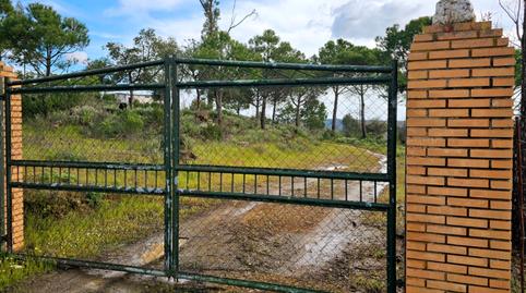 Foto 3 de Finca rústica en venda a N/a, Cumbres Mayores, Huelva