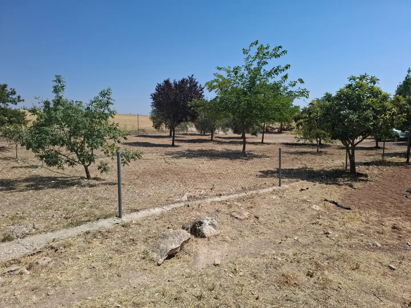 Finca rústica en venda en Fernán Caballero amb Aire condicionat, Calefacció i Traster