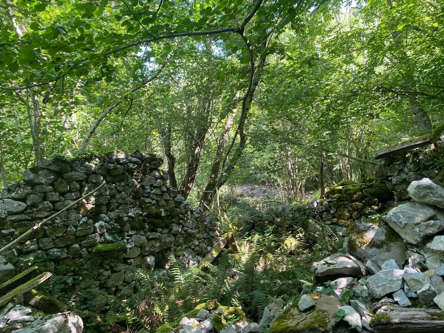 Terreno rustico in vendita a SEGÜENCO, imagen 8