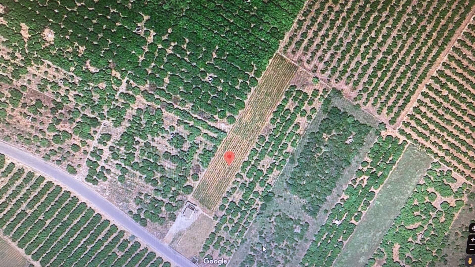 Land for sale in Borriol
