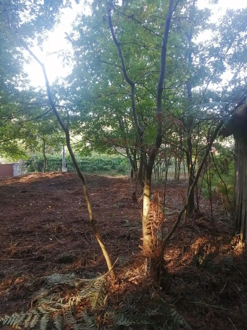 Finca rústica en venta en Ponteareas