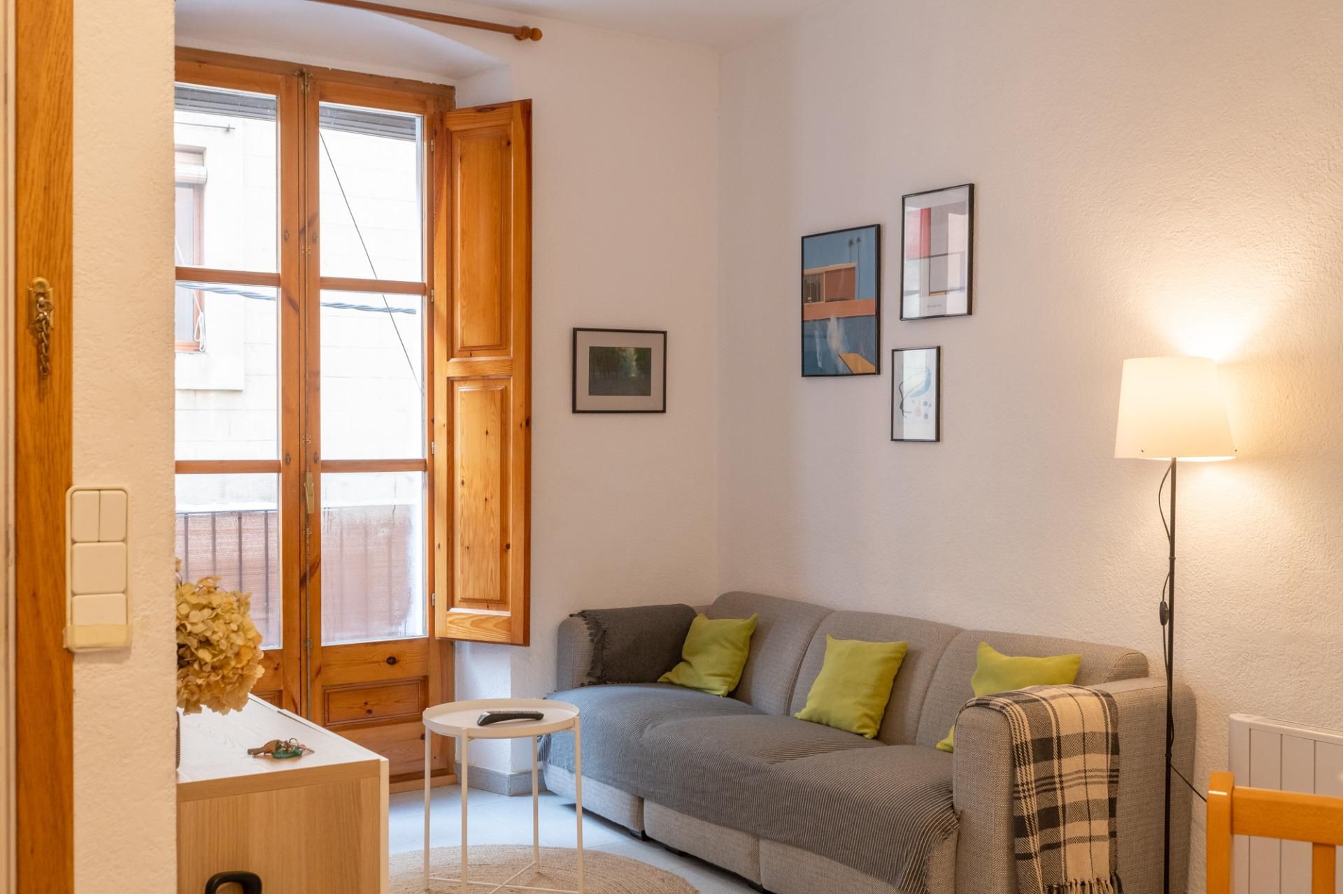 Sala d'estar de Apartament de lloguer en Girona Capital amb Balcó