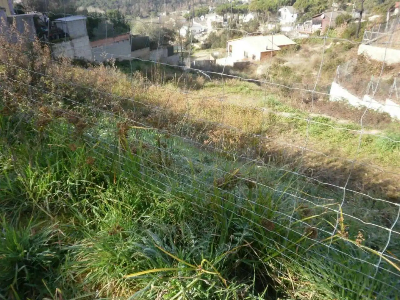 Terreno rustico in vendita a Mas Altaba - El Molí