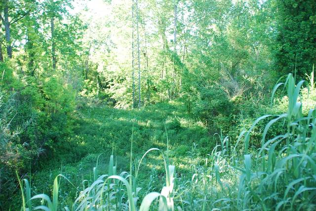 Terreno residencial en Venta en Carrer Major en Sant Julià de Ramis