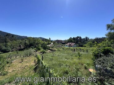 Terreno rustico in vendita a Calle Graña