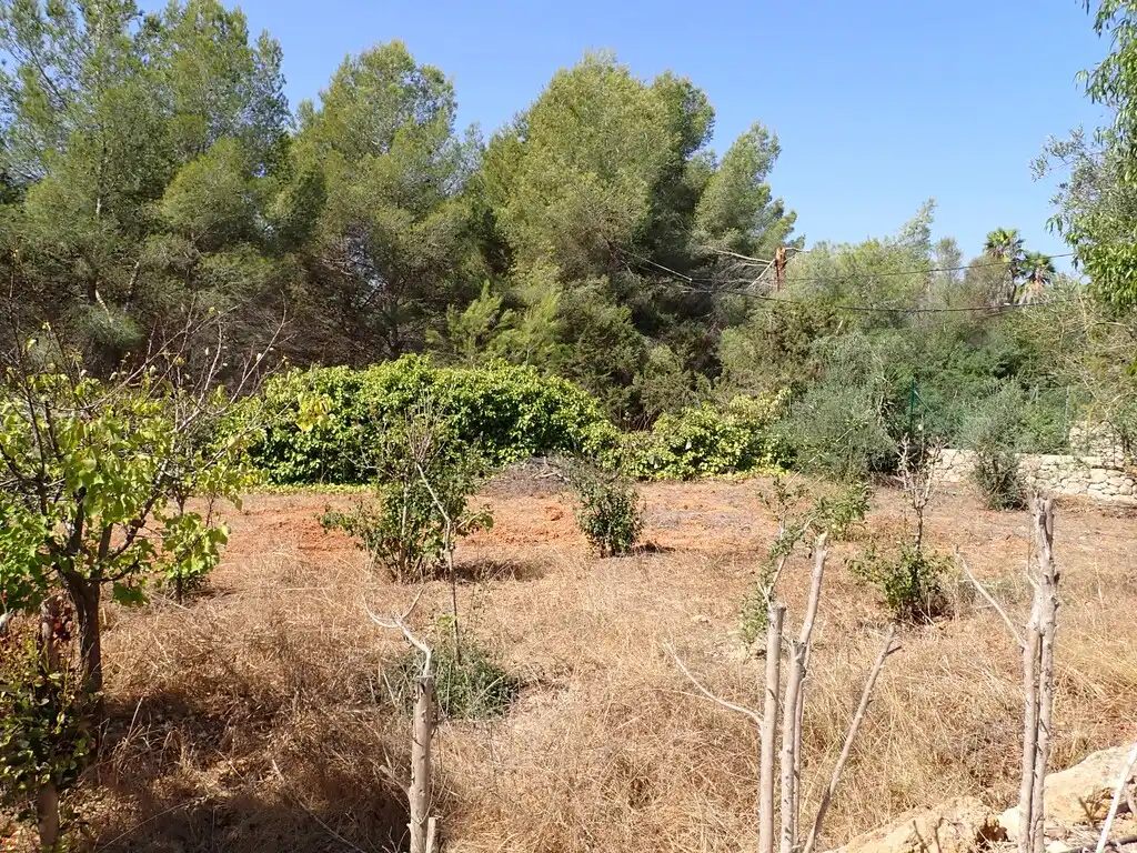 Casa rústica amb piscina en venda a Santa Eulària, imagen 15