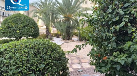 Foto 3 de Apartamento en venta en Los Arenales del Sol, Elche / Elx