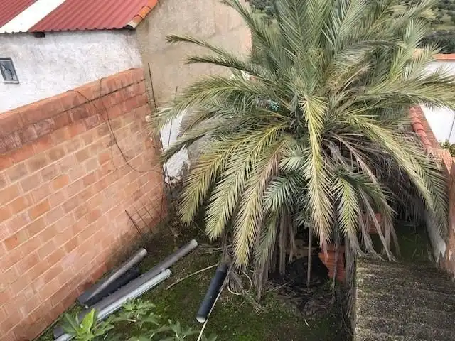 Jardí de Casa o xalet en venda en Belmez