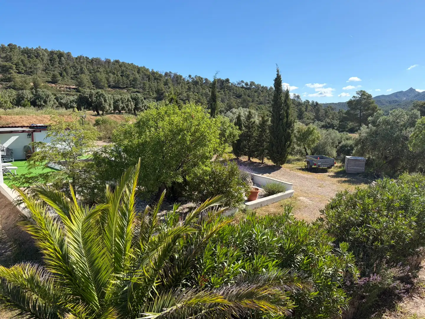 Jardí de Finca rústica en venda en Ascó amb Aire condicionat, Calefacció i Piscina