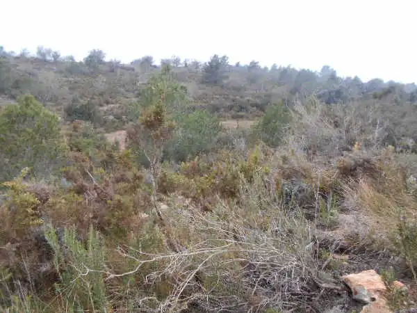 Rural land for sale in Ptda San Miguel, Timba y Palillo, imagen 6