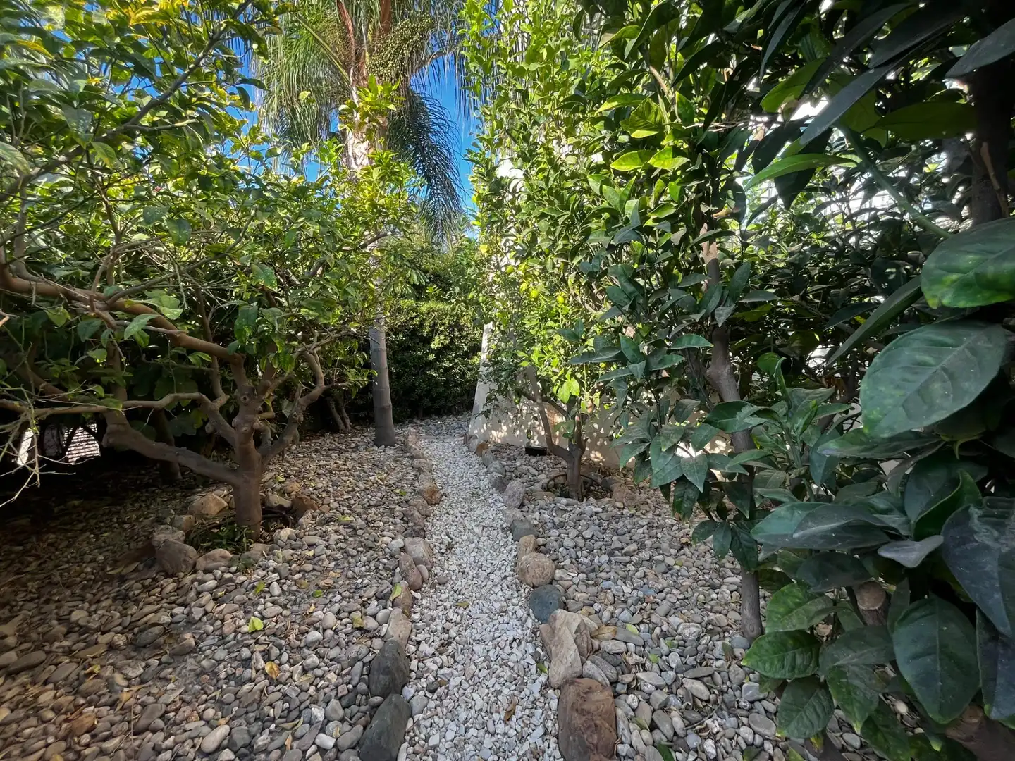 Jardín de Casa o chalet en venta en Vera con Aire acondicionado, Calefacción y Jardín privado