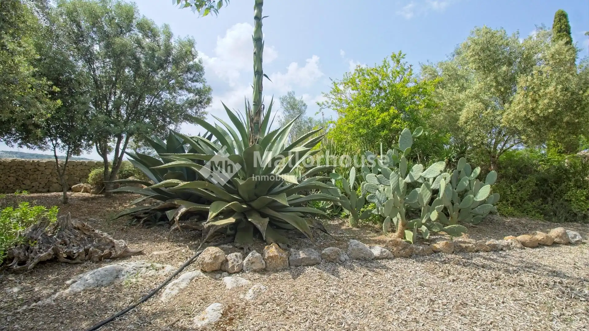 Country homes for sale in Ariany  with Air Conditioner, Private garden and Terrace