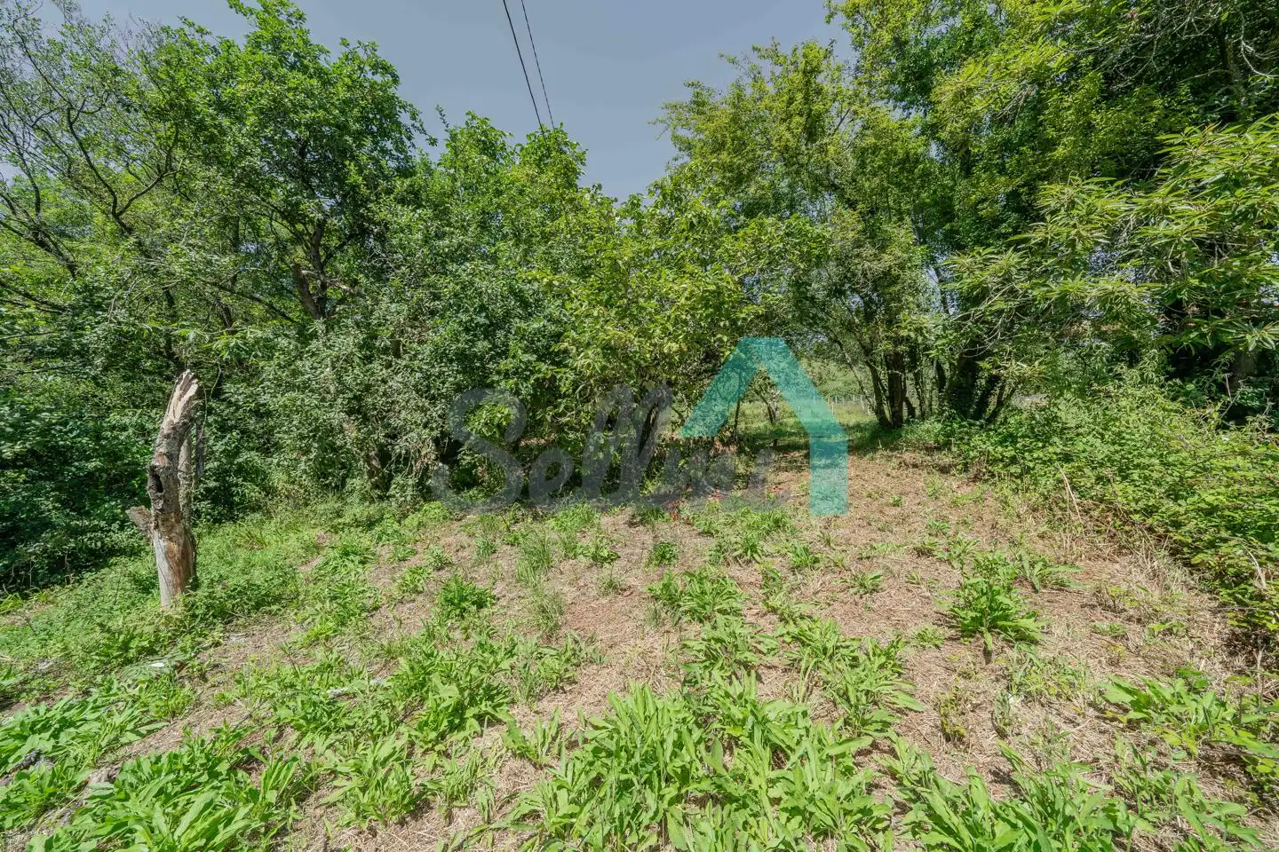 House with garden for sale in Casquita, imagen 119