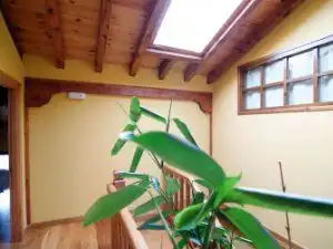 Casa con terraza en venta en Barrio Arroyo, imagen 5